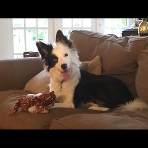 Meet your Posher, Michael